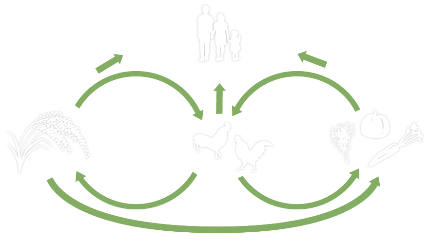 野菜とニワトリの関係図